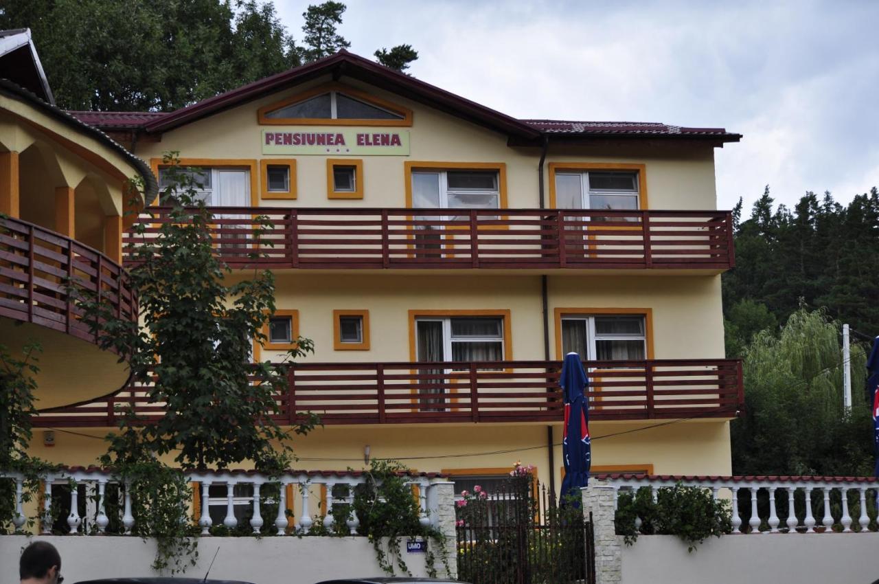 Pensiunea Elena Soveja Exterior foto