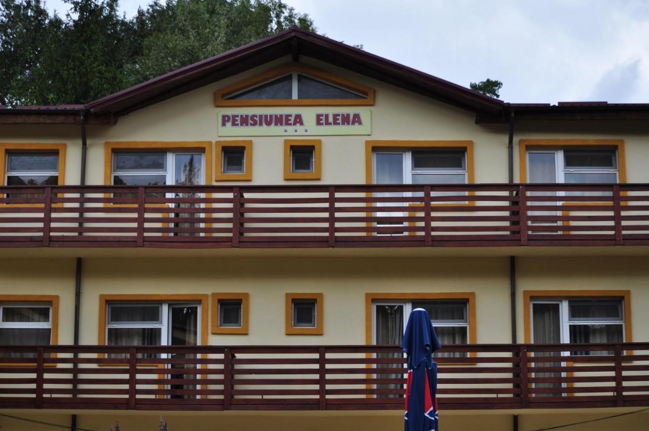 Pensiunea Elena Soveja Exterior foto