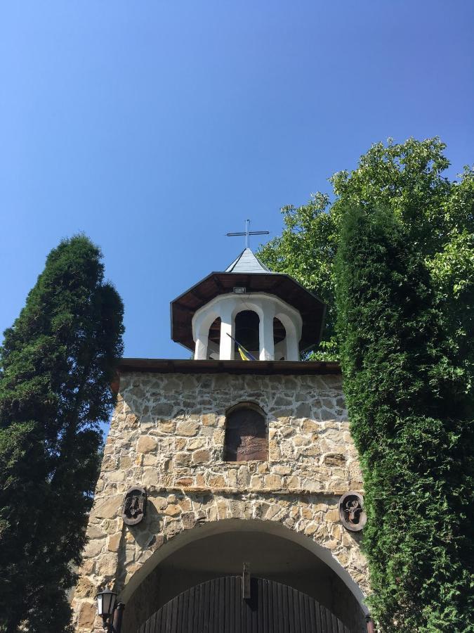 Pensiunea Elena Soveja Exterior foto